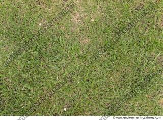 Photo Texture of Grass